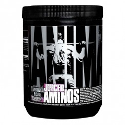 Animal Aminos 376g Orangensaft