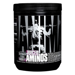 Animal Aminos 376g Jus d'orange